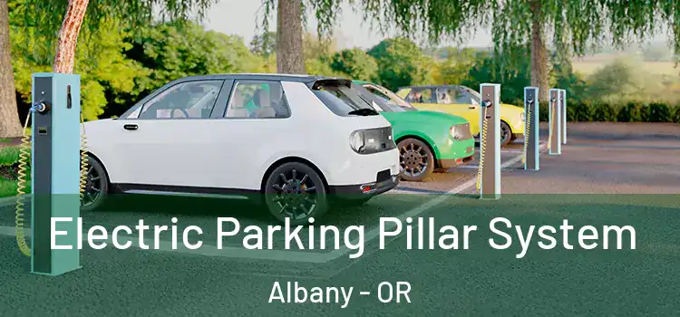 Electric Parking Pillar System Albany - OR