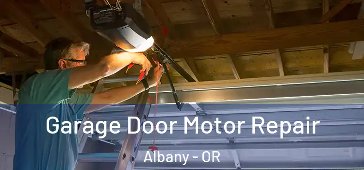  Garage Door Motor Repair Albany - OR