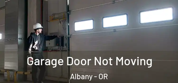  Garage Door Not Moving Albany - OR