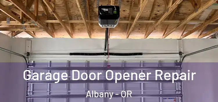  Garage Door Opener Repair Albany - OR
