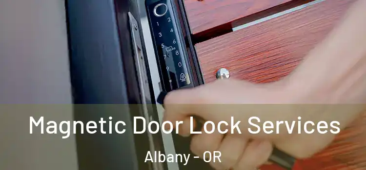  Magnetic Door Lock Services Albany - OR
