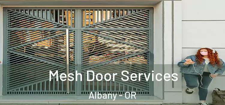 Mesh Door Services Albany - OR