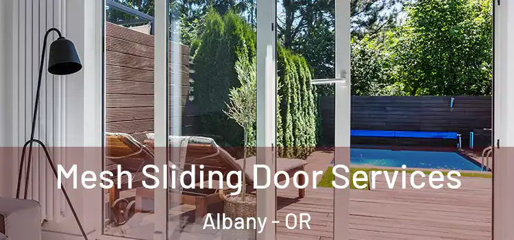  Mesh Sliding Door Services Albany - OR